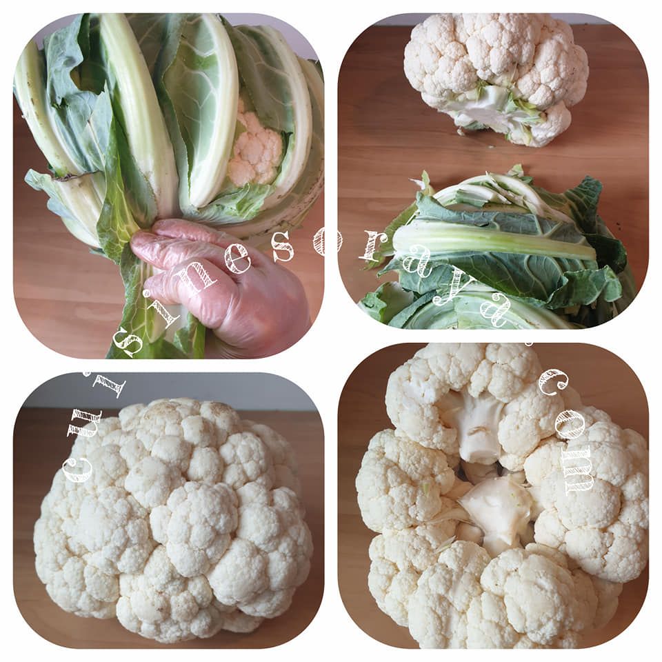Riz de chou-fleur