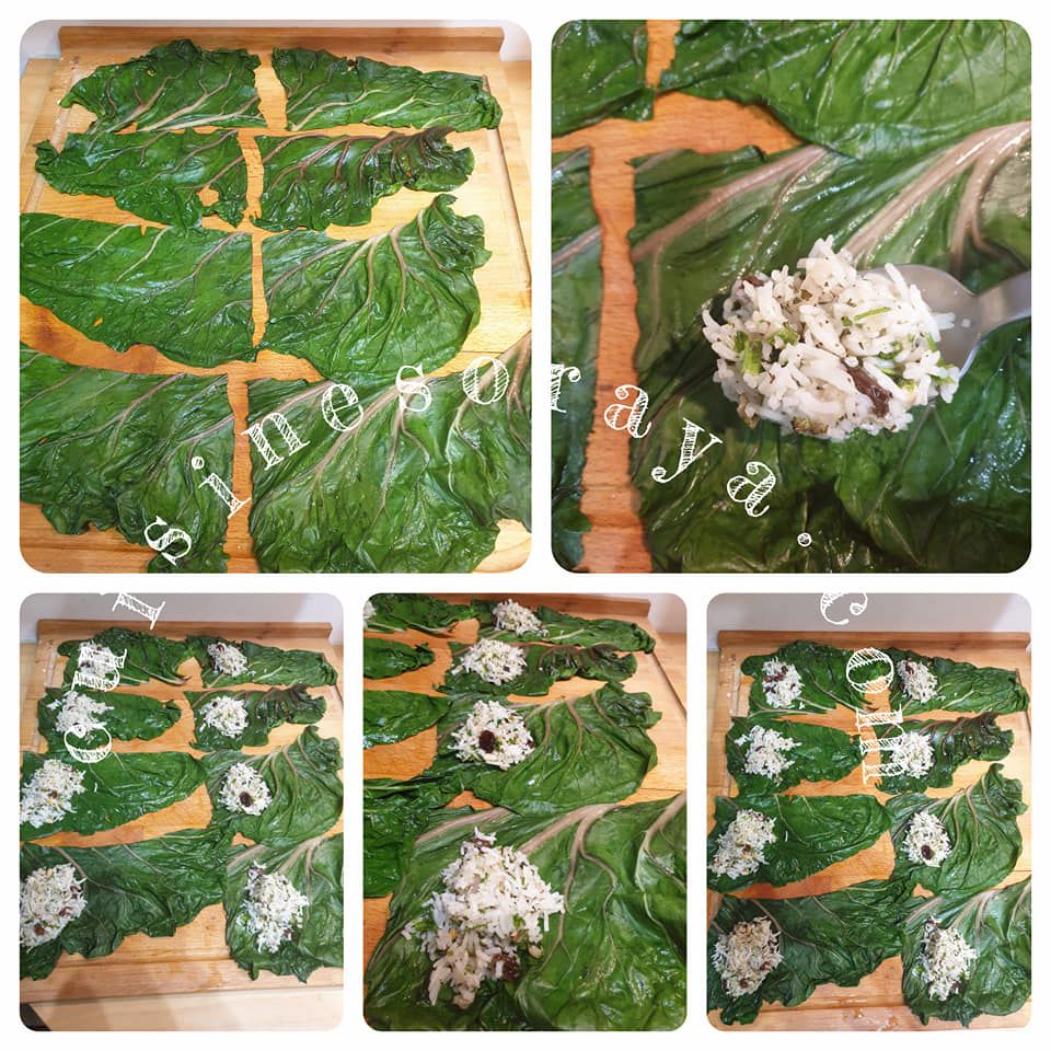 Dolmades aux feuilles de blette