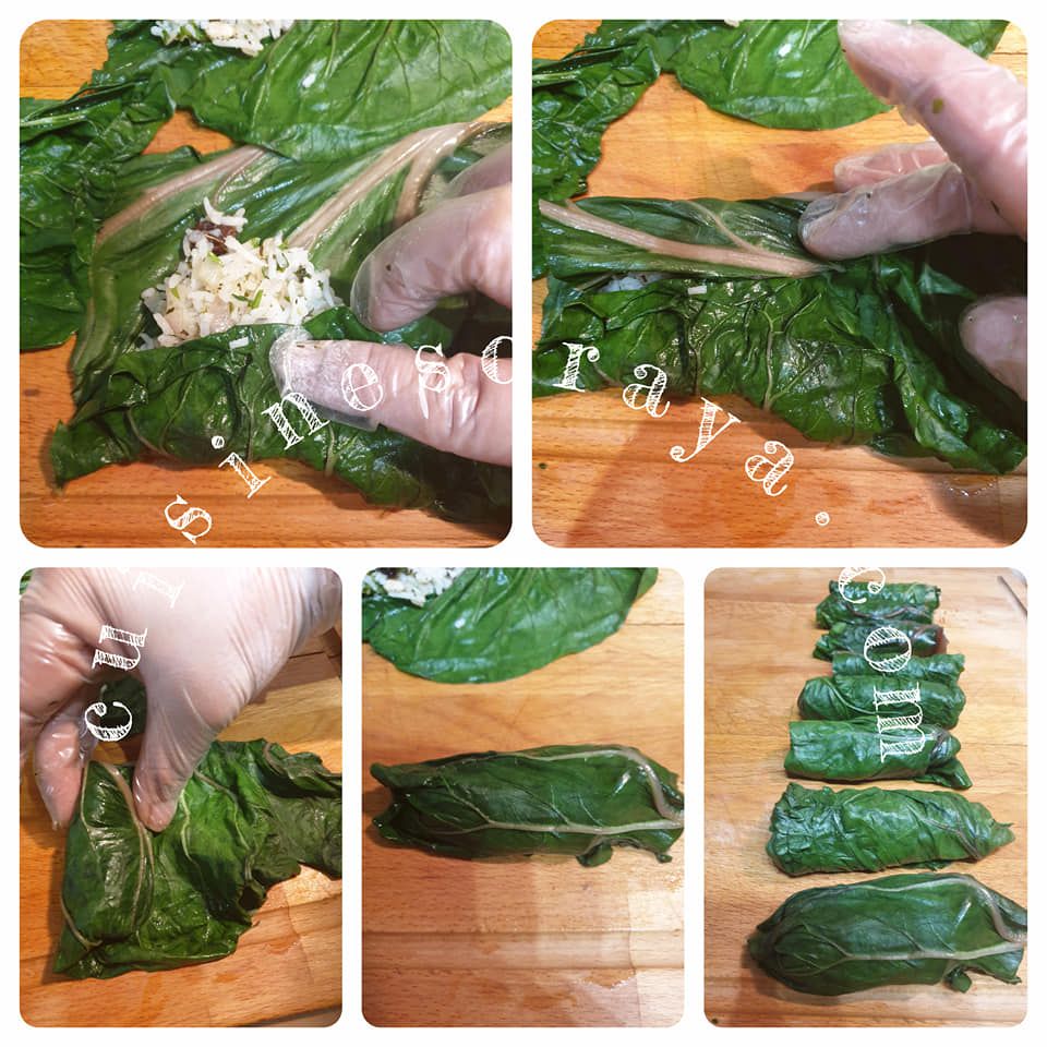 Dolmades aux feuilles de blette