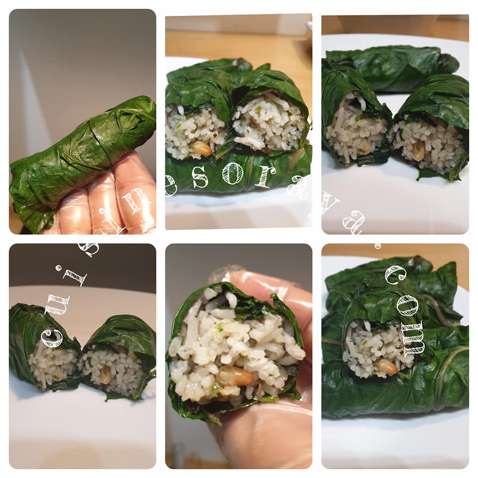 Dolmades aux feuilles de blette
