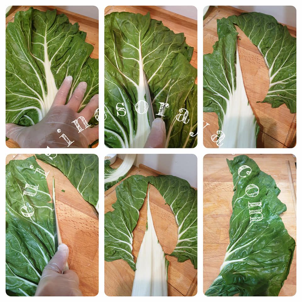 Dolmades aux feuilles de blette