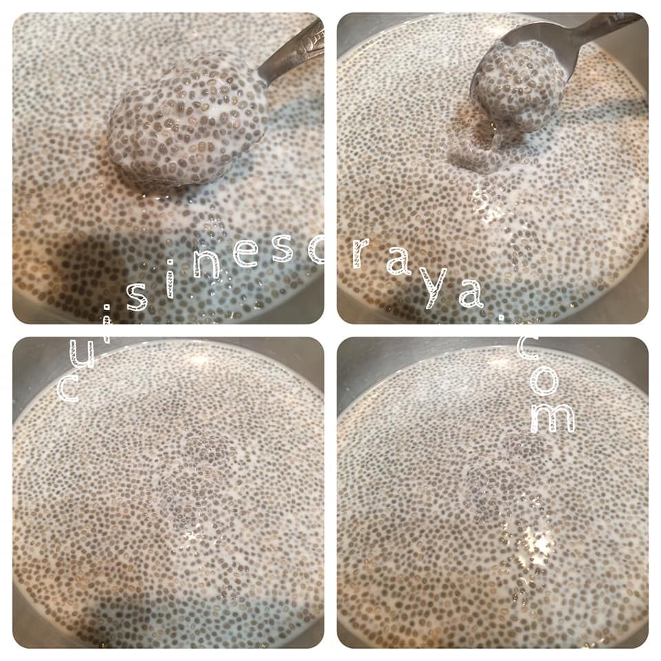 Chia pudding