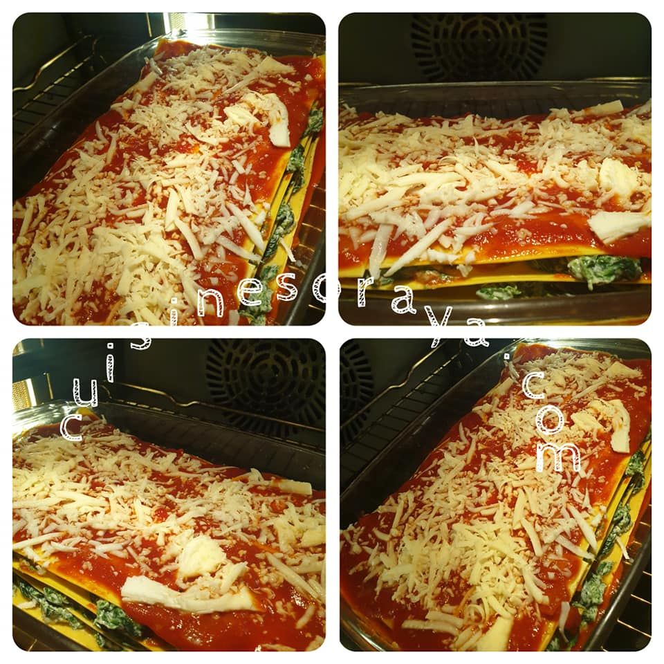 Lasagnes ricotta et épinards