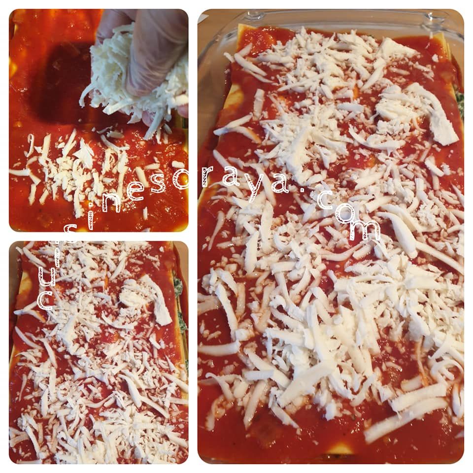 Lasagnes ricotta et épinards