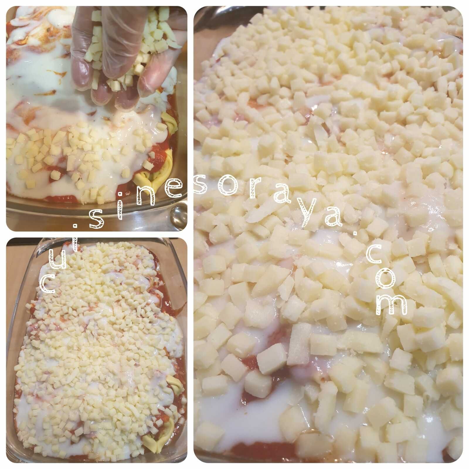 Lasagnes de tortellini ricotta/épinard