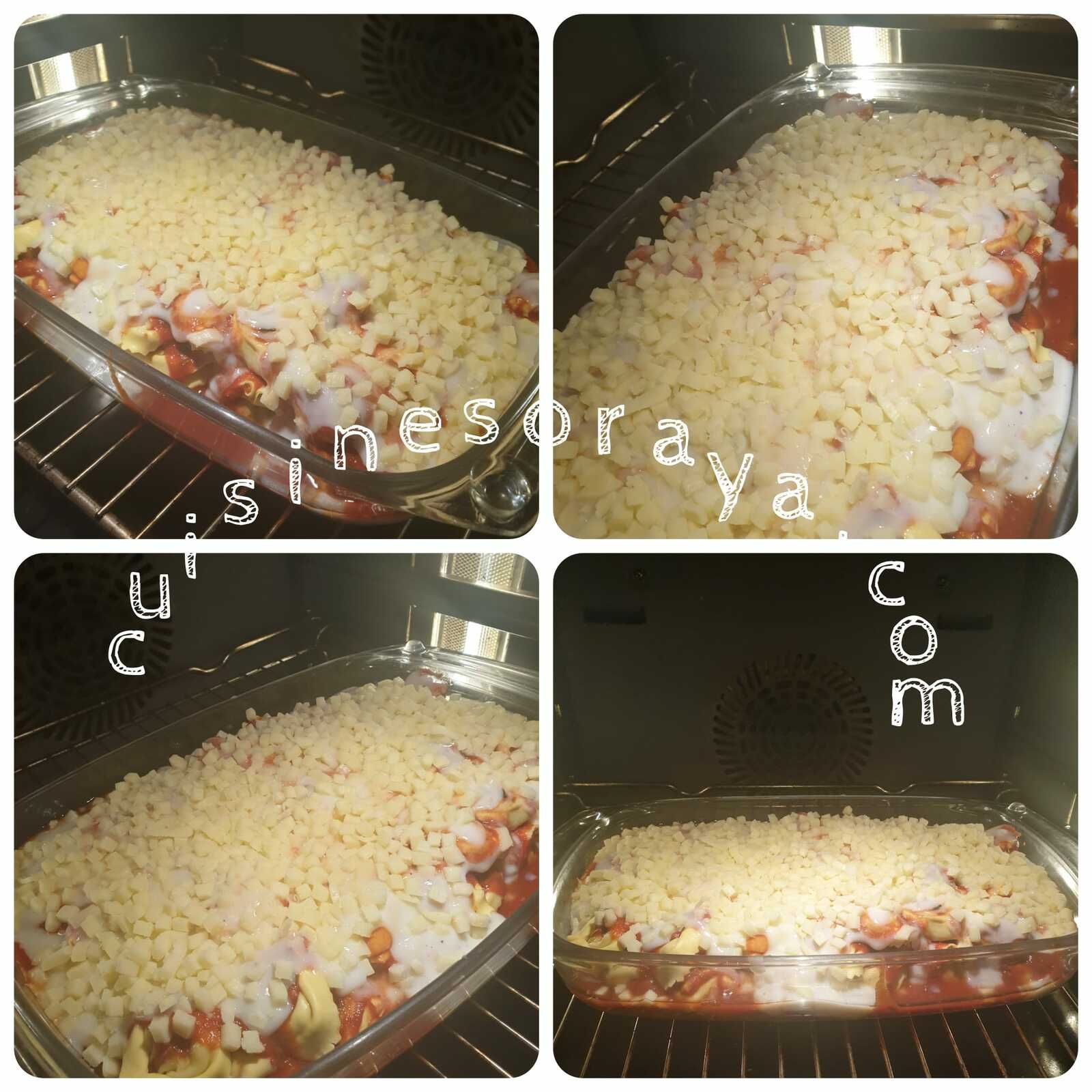 Lasagnes de tortellini ricotta/épinard