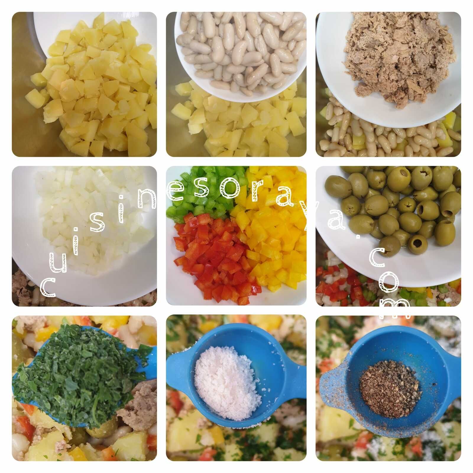 Salade de haricots blanc avec ses petits légumes au thon
