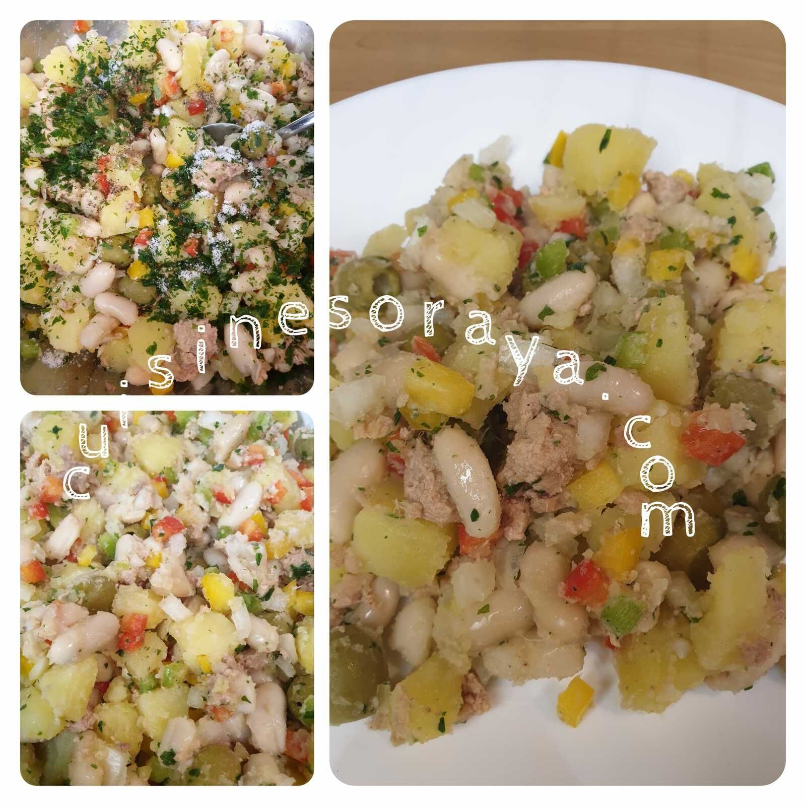 Salade de haricots blanc avec ses petits légumes au thon