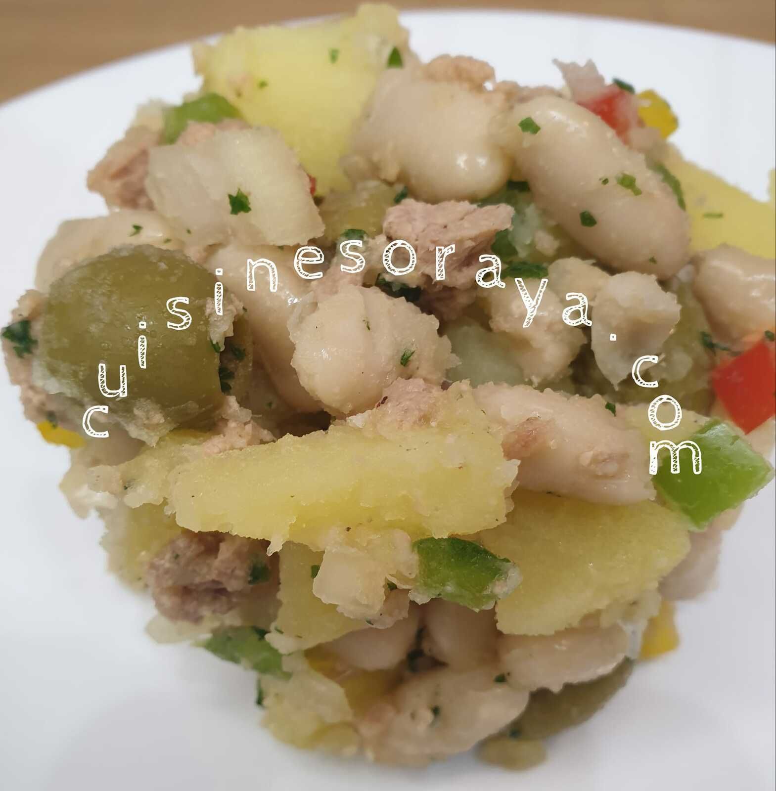 Salade de haricots blanc avec ses petits légumes au thon