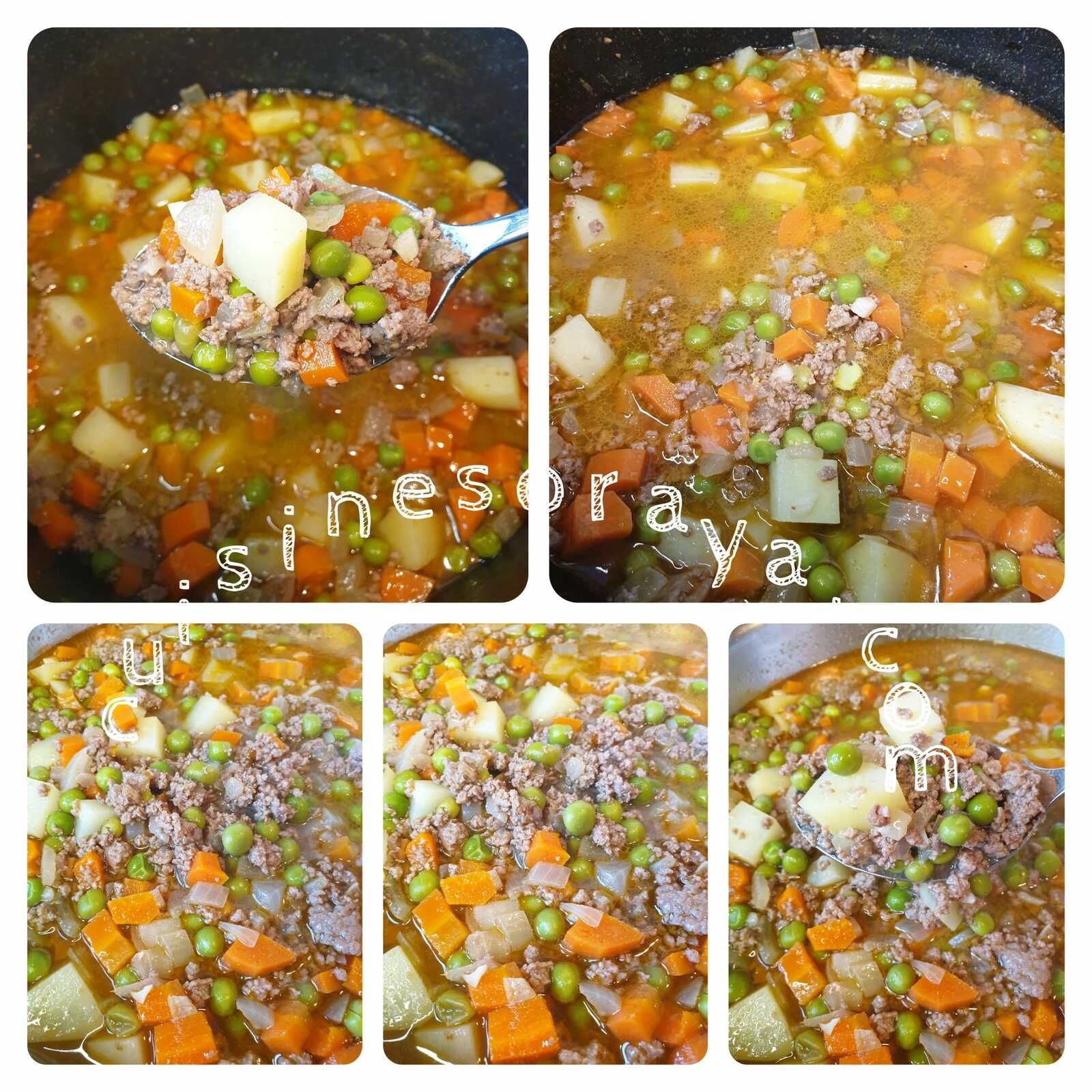 Rata de viande hachée et aux légumes