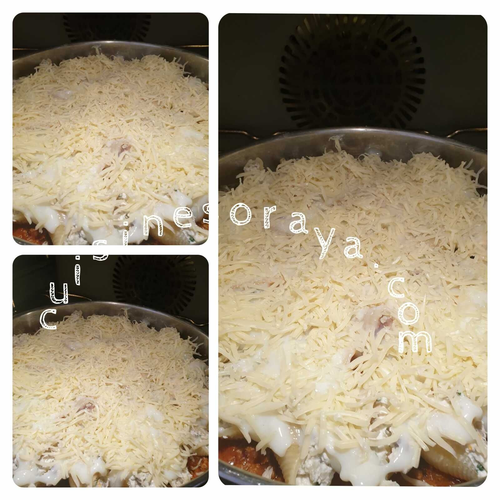 Conchiglioni farcis aux champignons, ricotta et sa sauce bolognaise