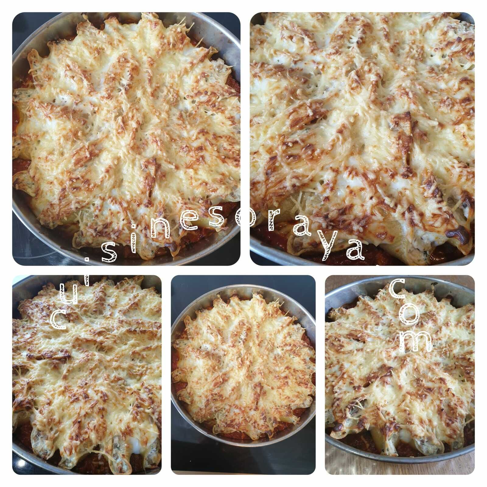 Conchiglioni farcis aux champignons, ricotta et sa sauce bolognaise