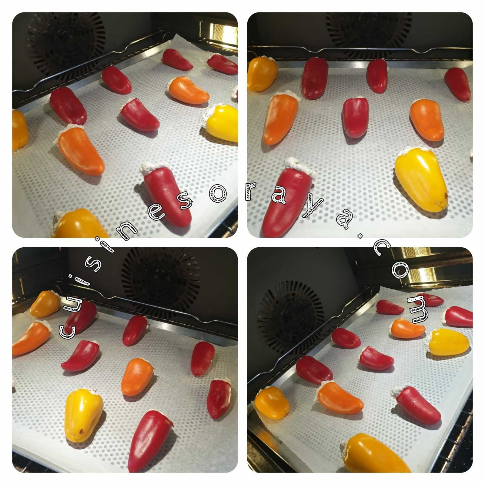 Mini poivrons farcis à la crème de thon