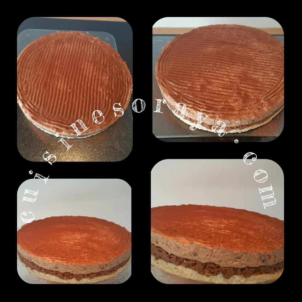 Royal au chocolat / Trianon