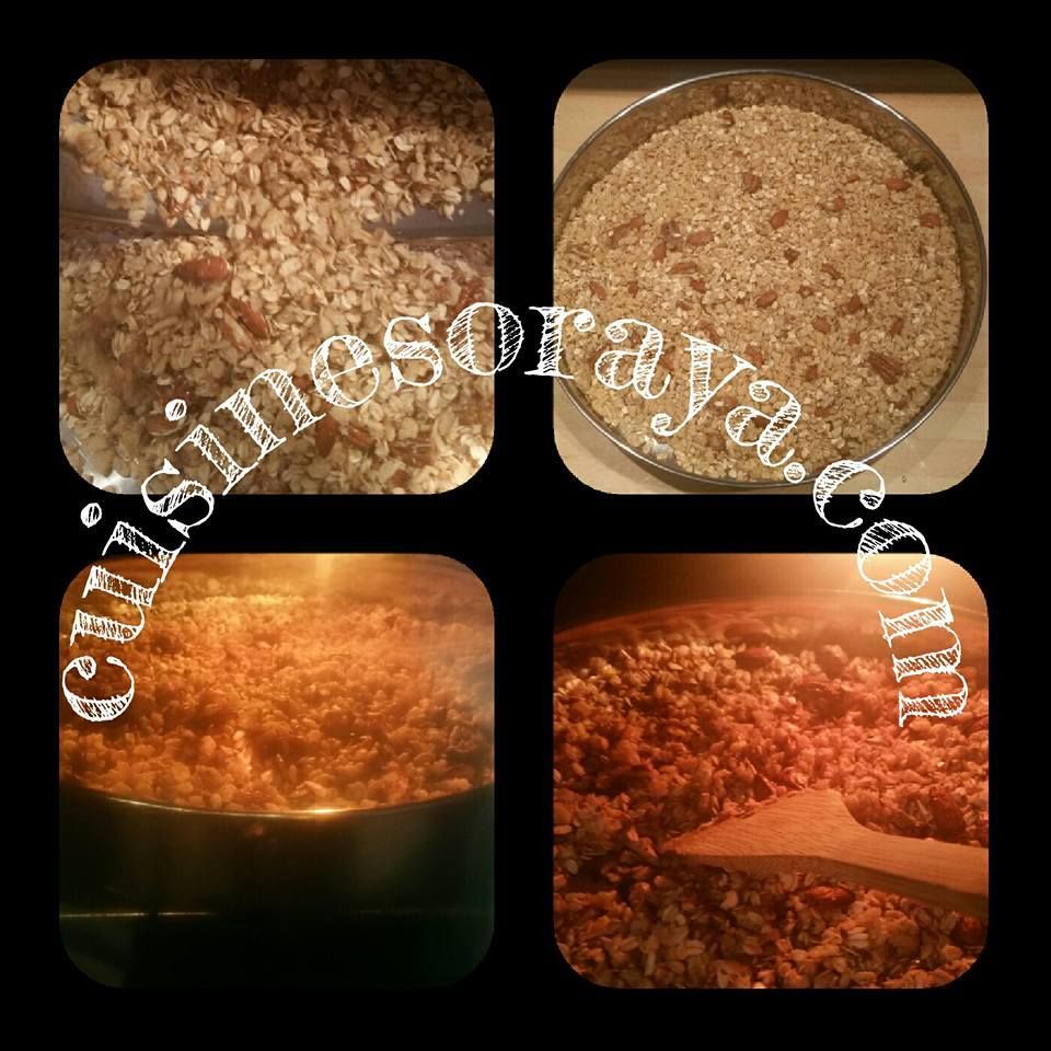Muesli complet aux fruits secs, graines et chocolat