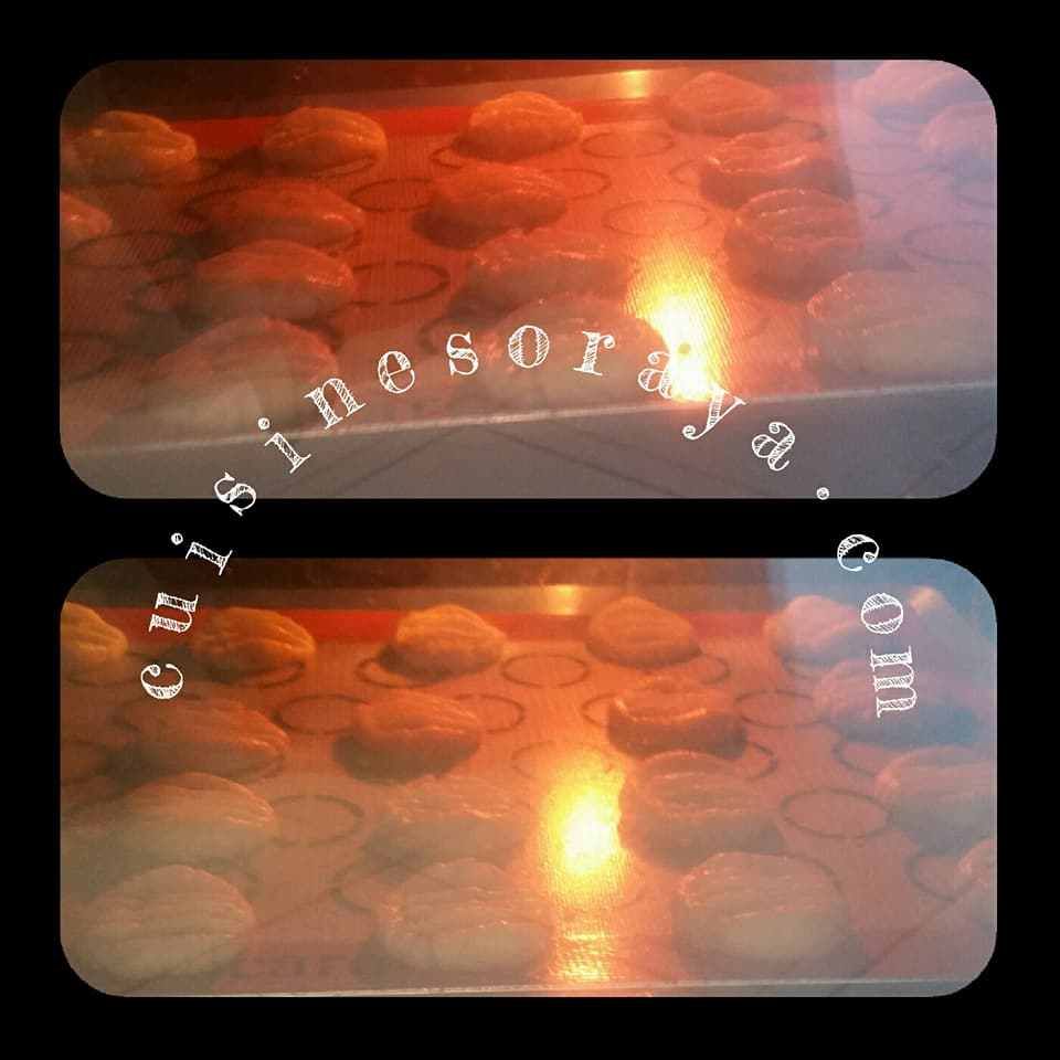 Sablés pattes de chat chocolat