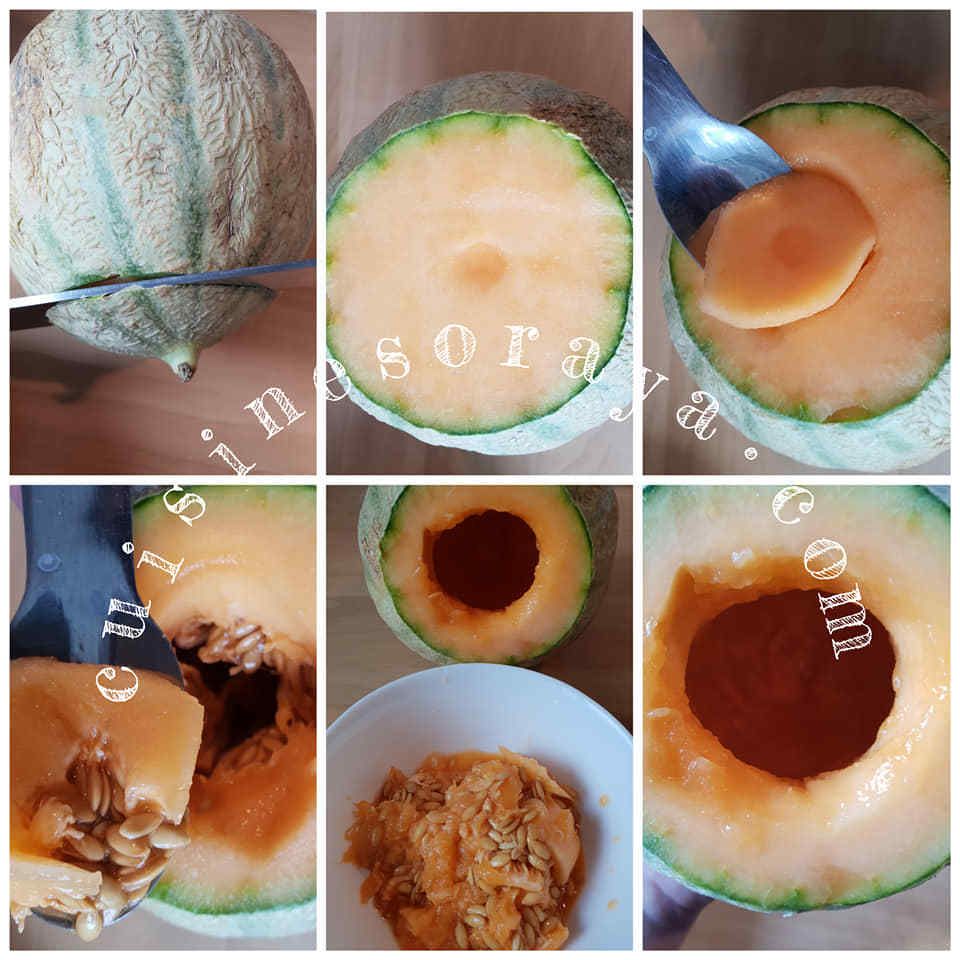 Méli mélo de fruits aux lait dans un melon