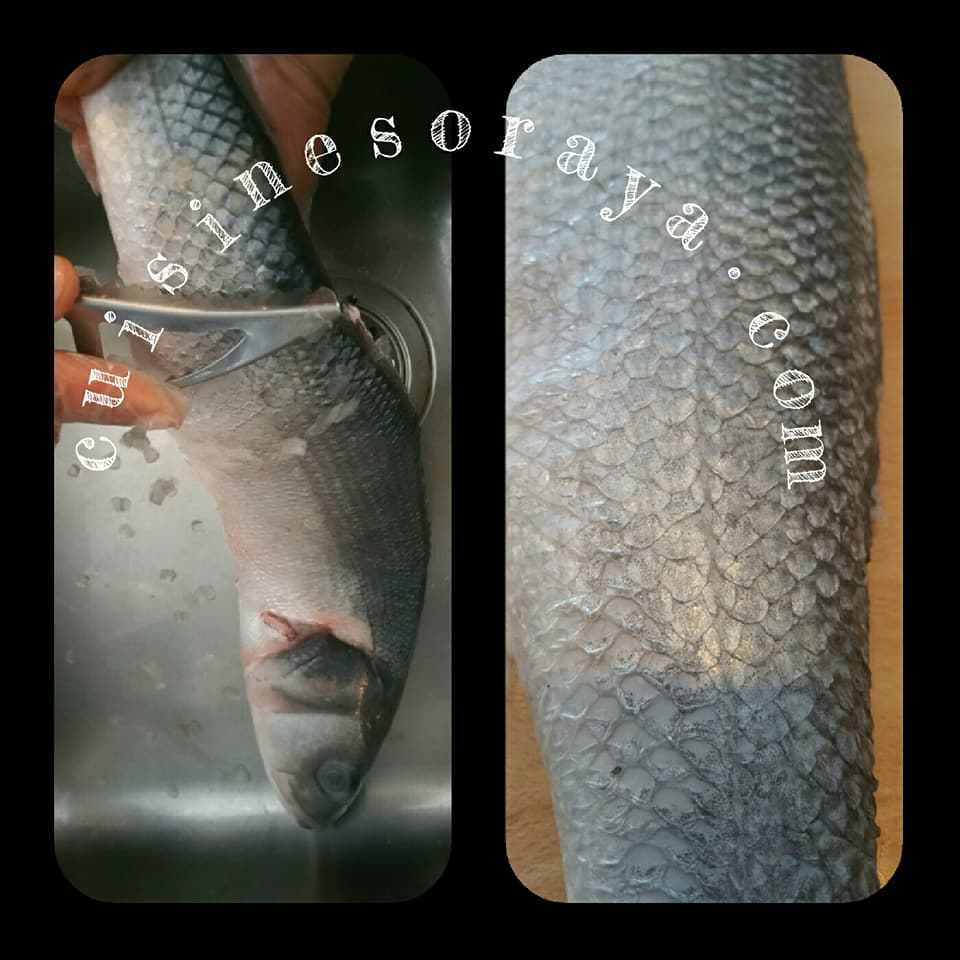 couscous poisson