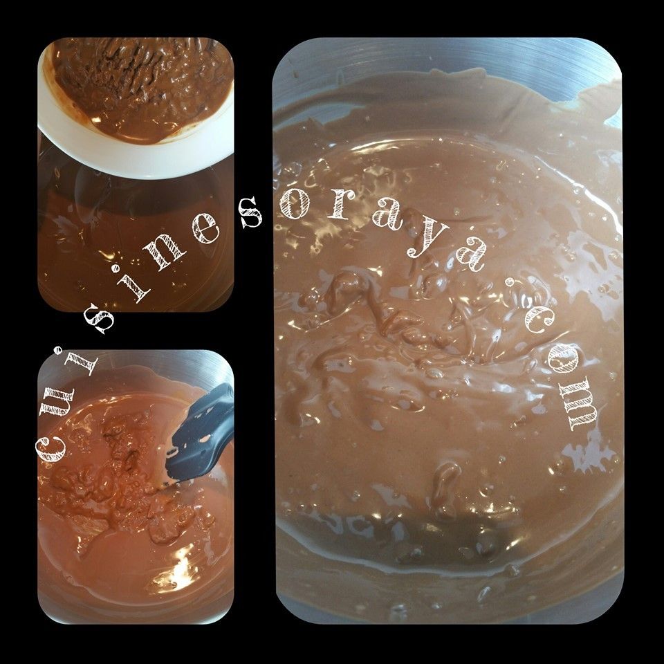Royal au chocolat / Trianon