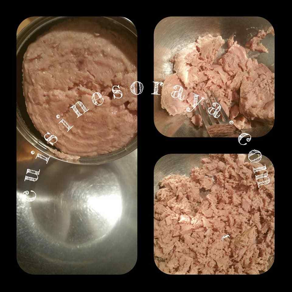 Croquette de thon express