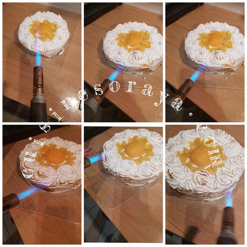 Gâteau pêcher mignon