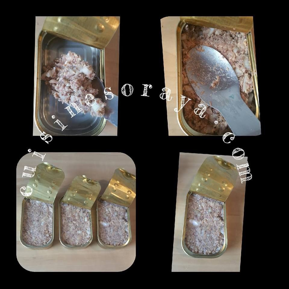 Parmentier de sardines