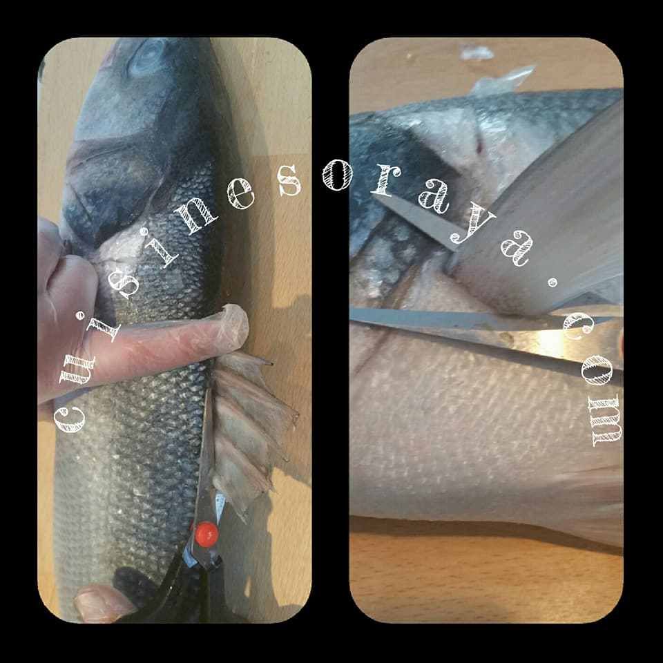 couscous poisson