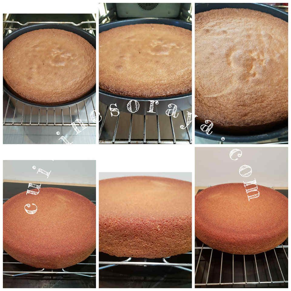 Gâteau pêcher mignon