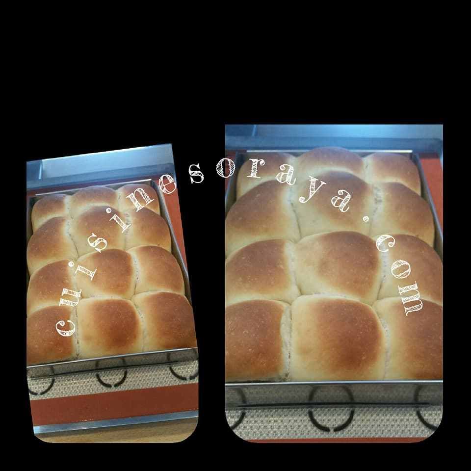 Brioche butchy